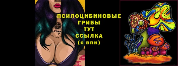 индика Белая Холуница