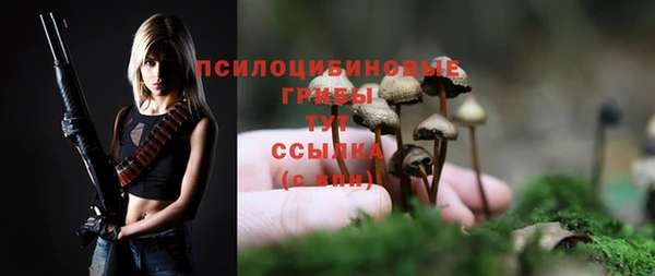 мет Арсеньев