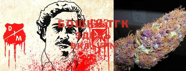 гашик Аркадак