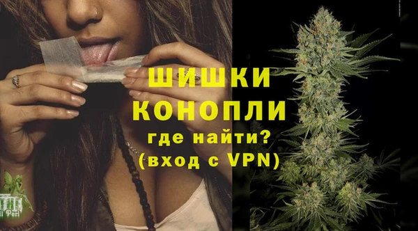 гашик Аркадак