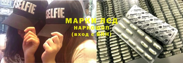 гашик Аркадак