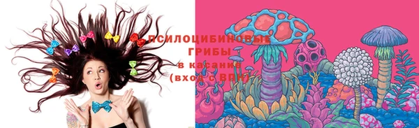 гашик Аркадак