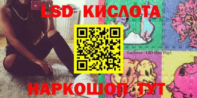 индика Гусь-Хрустальный