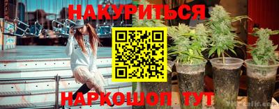 индика Гусь-Хрустальный
