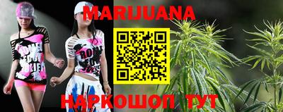 индика Гусь-Хрустальный