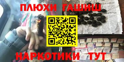индика Гусь-Хрустальный