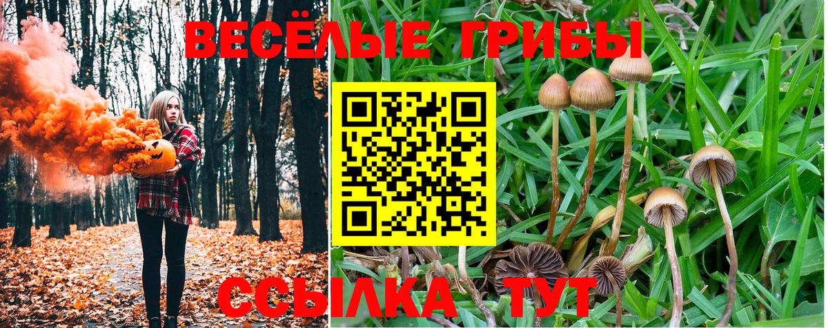 Псилоцибиновые грибы мицелий Рубцовск